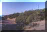 cecinabici6small.jpg (1436 byte)